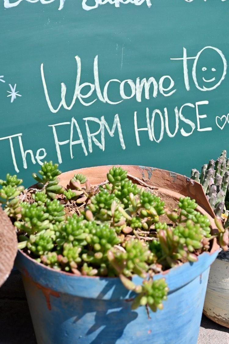 The Farmhouse Boutique Guesthouse And Beergarden Cc Outjo Exteriér fotografie